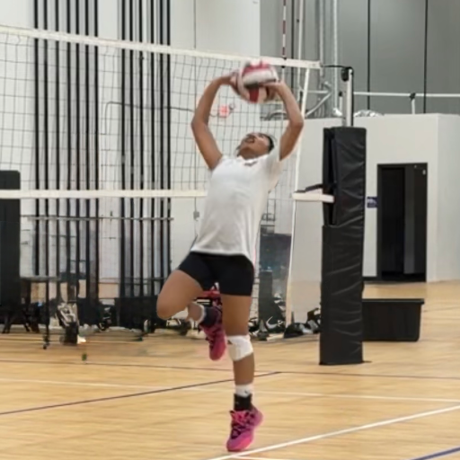 Ava Joven, Setter, Next Level 13-Lehua