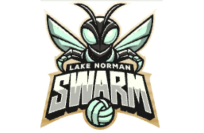 LKN Swarm logo