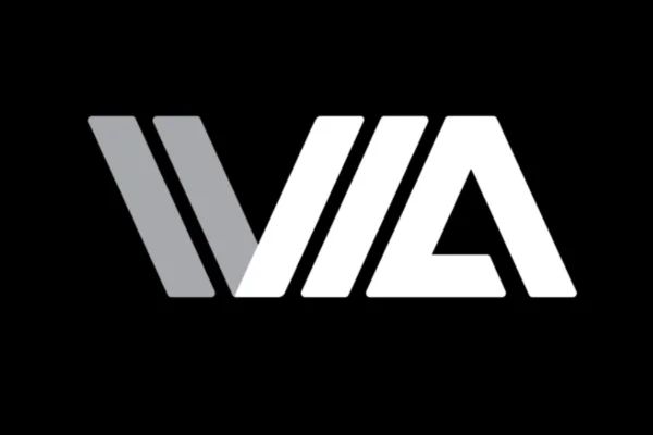 Valley Volleyball Academy logo
